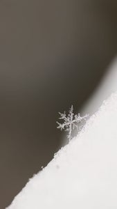 Krista Chappell-Rempel is our Holidays” theme micro-grant winner.