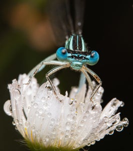 Alex Kruk is our “Closeup” theme micro-grant winner.