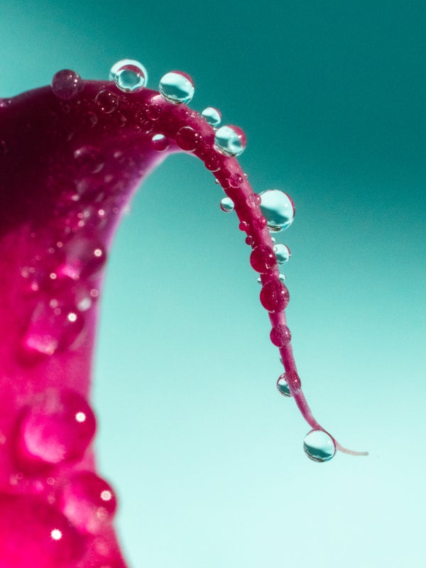 Story Header Image