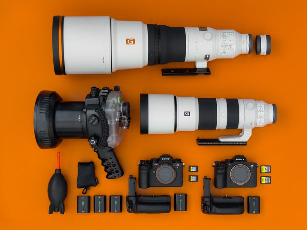Story Header Image