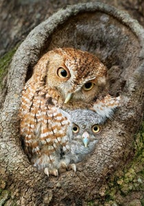 Jamie Felton is our “Birds” theme micro-grant winner.