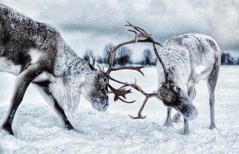 Kelly Beckta is our “Into the Wild” theme micro-grant winner.