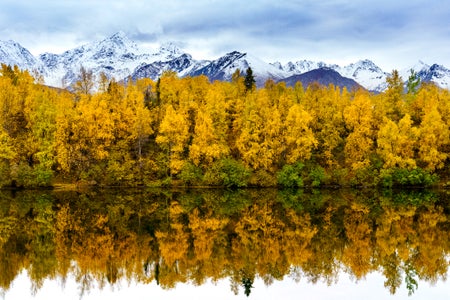 Jaime Hammond is our “Autumn Colors” theme micro-grant winner.