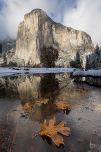 Michelle Jacquemet is our “Favorite Place” theme micro-grant winner.