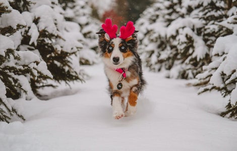 Rebecca Houle is our “Festive Feelings” theme micro-grant winner.