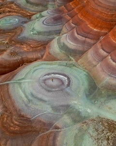 Sarah Goh is our “The Great Outdoors” theme micro-grant winner.